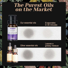 10mL Water Soluble Aromatherapy Oils for Diffusers & Humidifiers