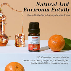 6-Pack Essential Oils Set | 10mL Water Soluble Aromatherapy Oils for Diffusers & Humidifiers | Includes Sandalwood, Sweet Orange, Lavender, Eucalyptus, Lemon & Mint