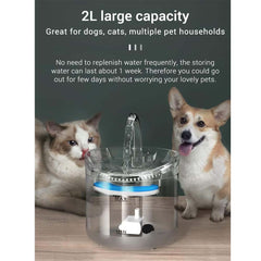 Automatic Pet Water Dispenser with Filters – UAE Pet Supplies