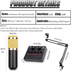 Pro Condenser Mic Dubai Podcast Setup