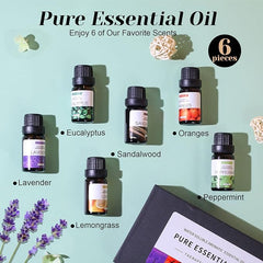 6-Pack Essential Oils Set | 10mL Water Soluble Aromatherapy Oils for Diffusers & Humidifiers | Includes Sandalwood, Sweet Orange, Lavender, Eucalyptus, Lemon & Mint